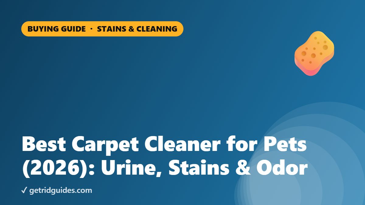 Best Carpet Cleaner for Pets: Urine, Stains & Odor