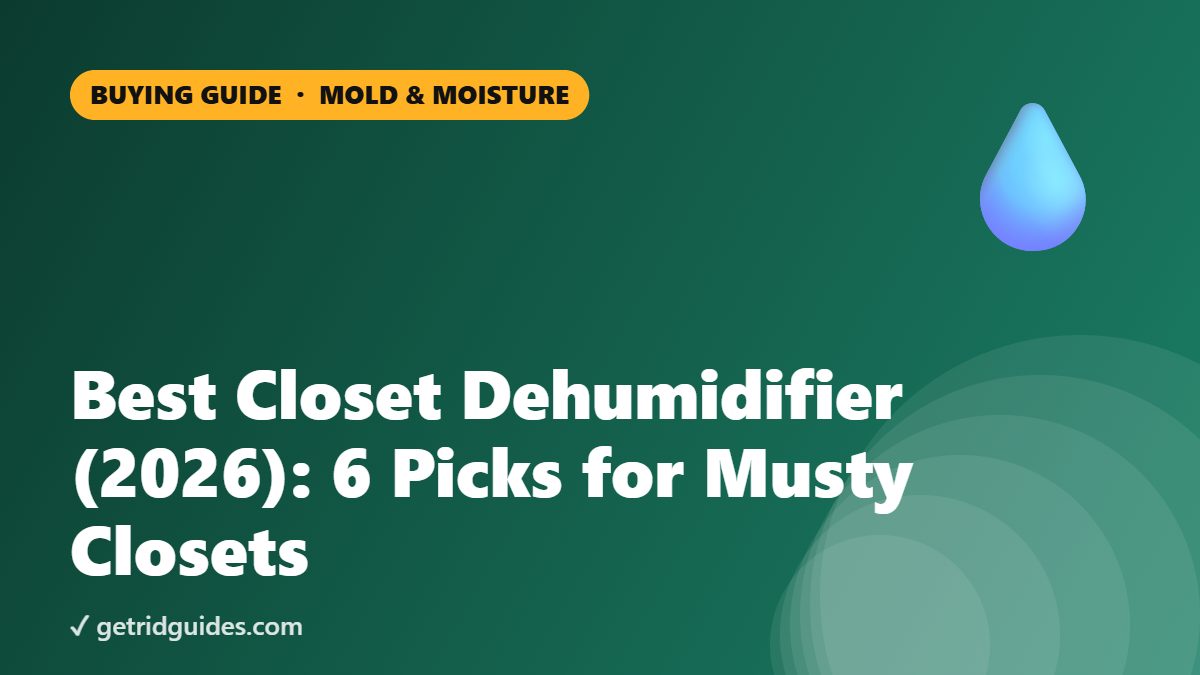 Best Closet Dehumidifier (2026): 6 Picks for Musty Closets