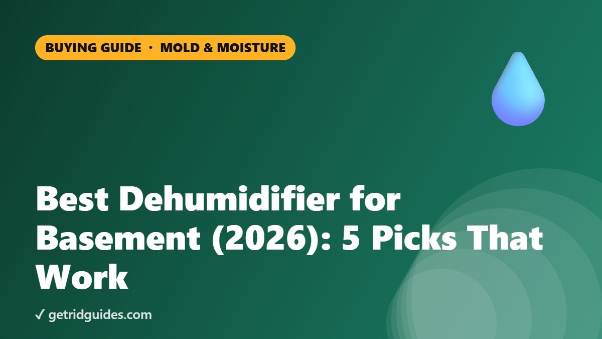 Best Dehumidifier for Basement: 5 Picks That Work