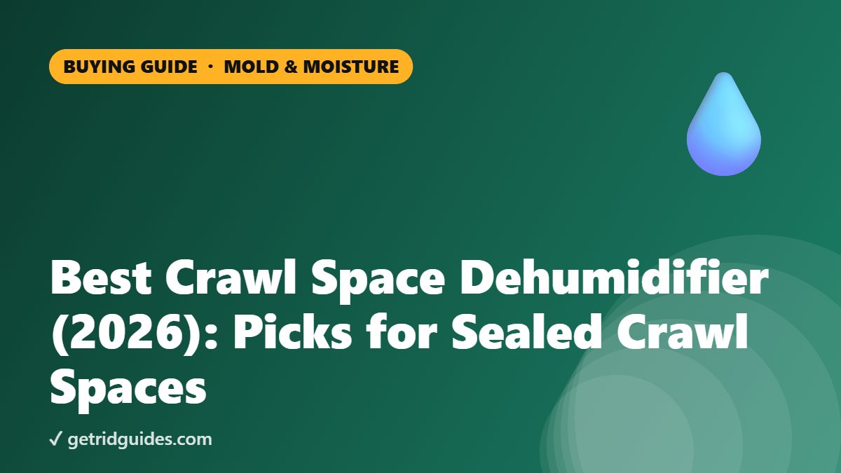 Best Crawl Space Dehumidifier (2026): Picks for Sealed Crawl Spaces
