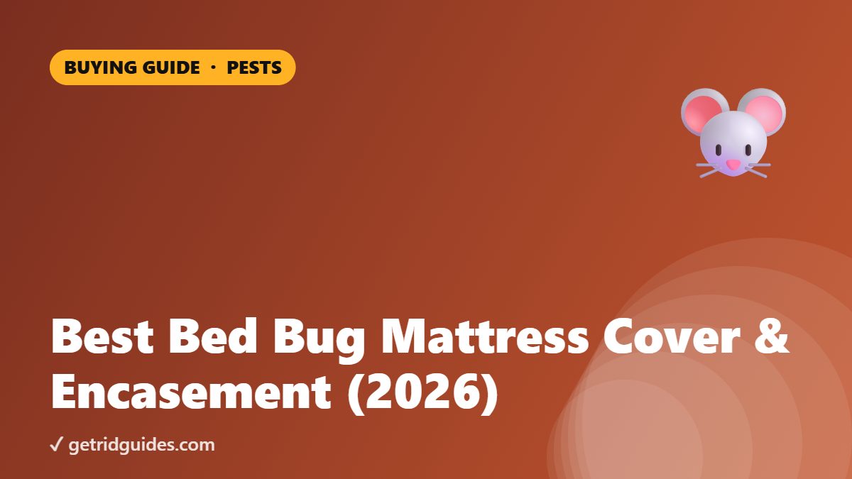 Best Bed Bug Mattress Cover & Encasement (2026)