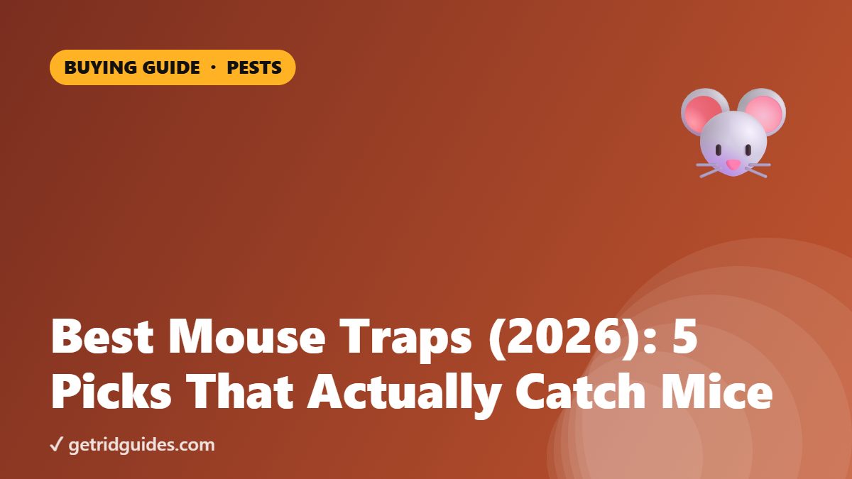 Best Mouse Traps: 5 Picks That Actually Catch Mice