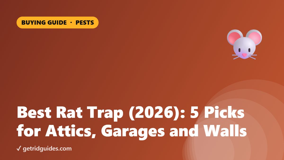 Best Rat Trap (2026): 5 Picks for Attics, Garages and Walls
