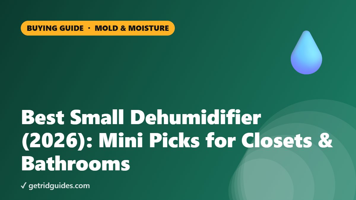 Best Small Dehumidifier (2026): Mini Picks for Closets & Bathrooms