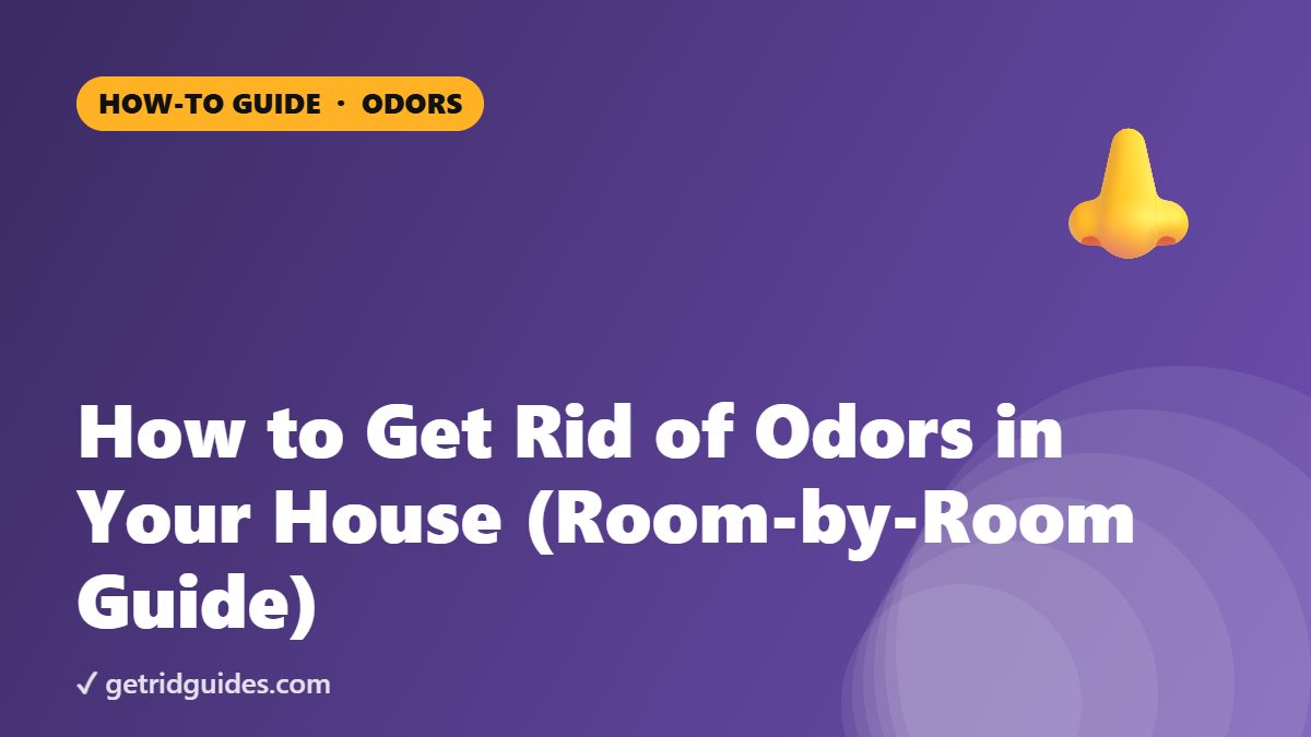 How to Get Rid of Odors in Your House (Room-by-Room Guide)