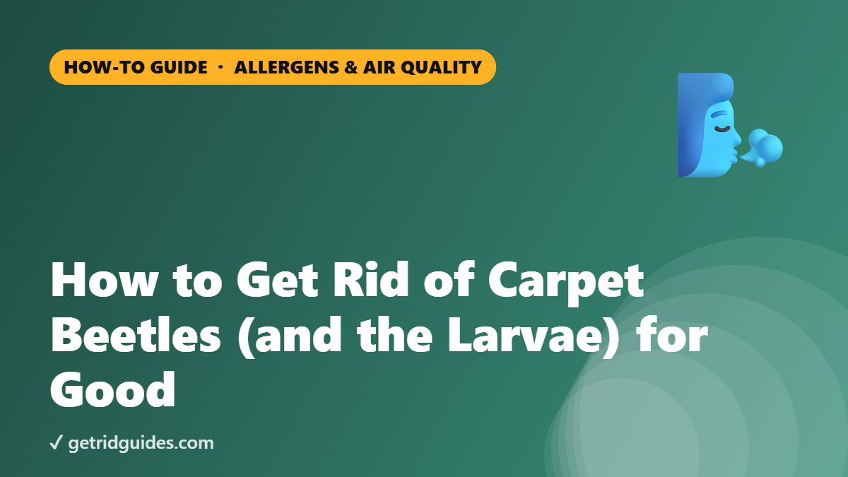 How to Get Rid of Carpet Beetles (and the Larvae) for Good