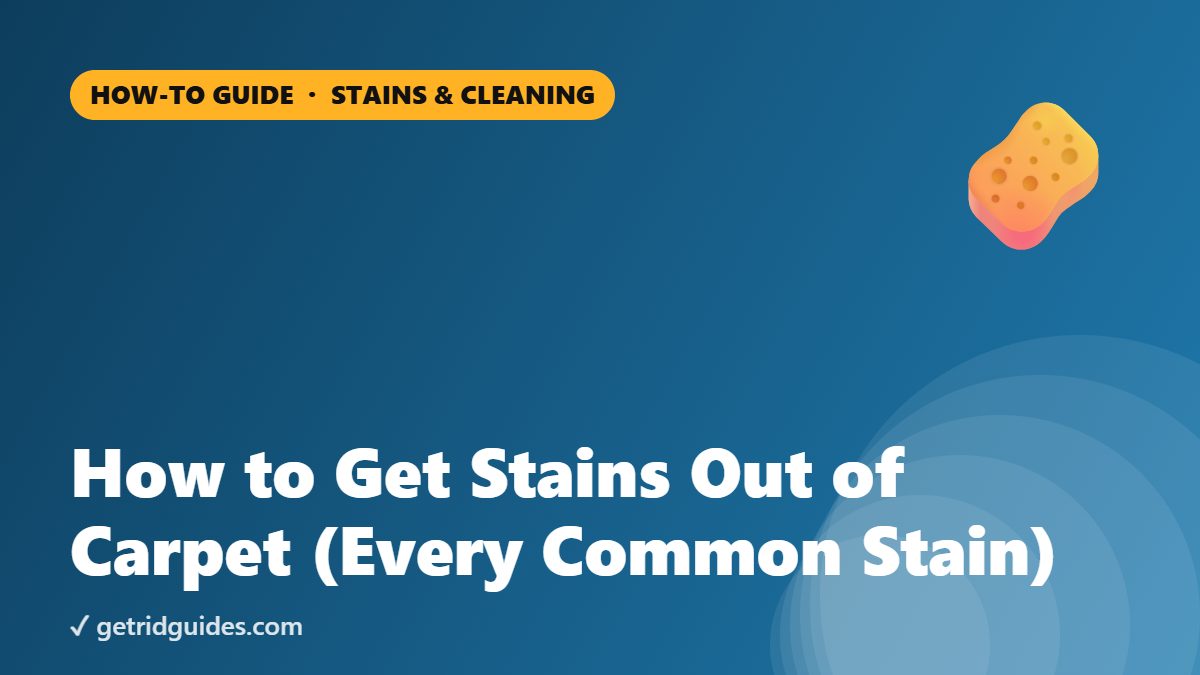 How to Get Stains Out of Carpet (Every Common Stain)