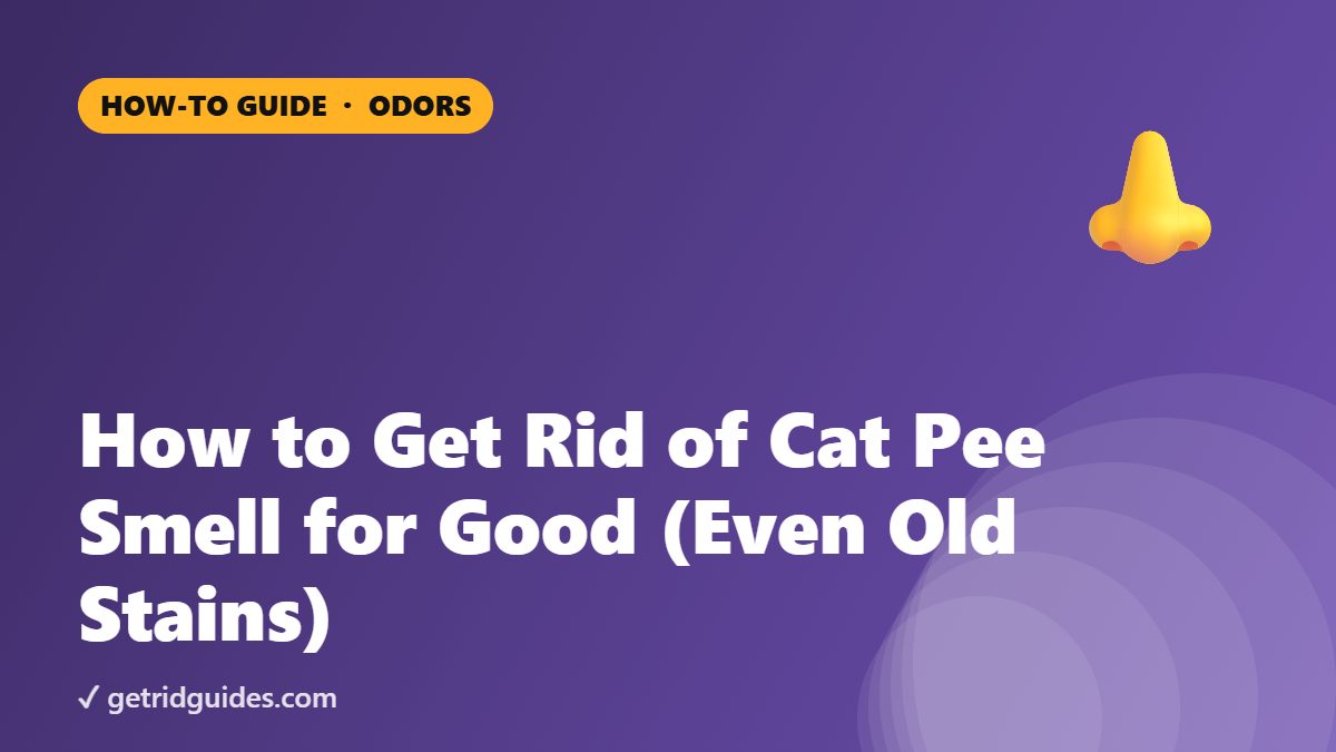 How to Get Rid of Cat Pee Smell for Good (Even Old Stains)