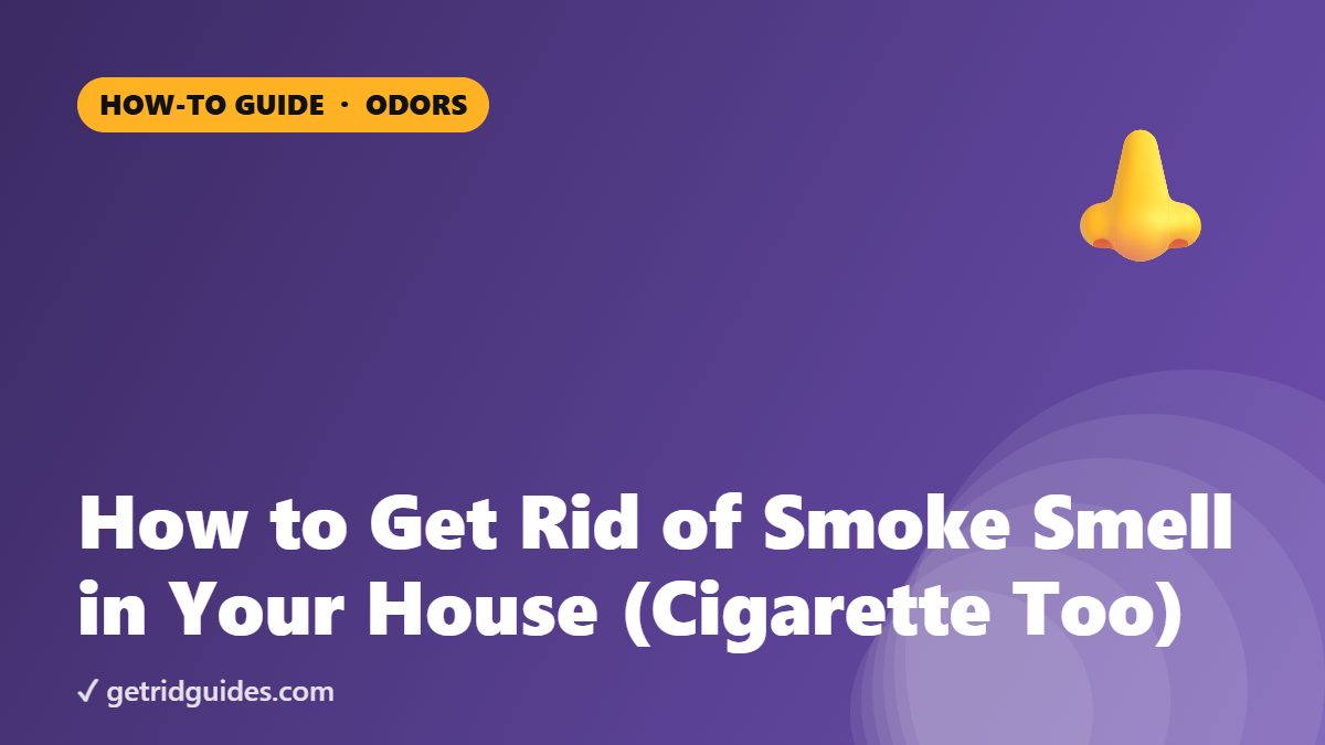 How to Get Rid of Smoke Smell in Your House (Cigarette Too)