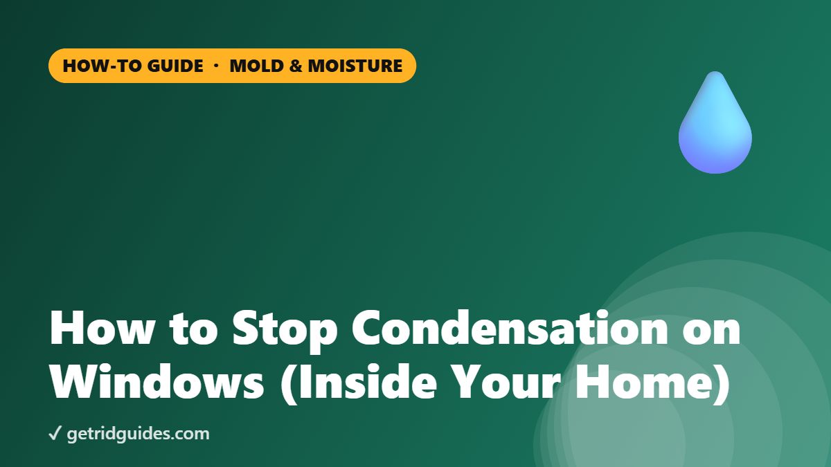 How to Stop Condensation on Windows (Inside Your Home)
