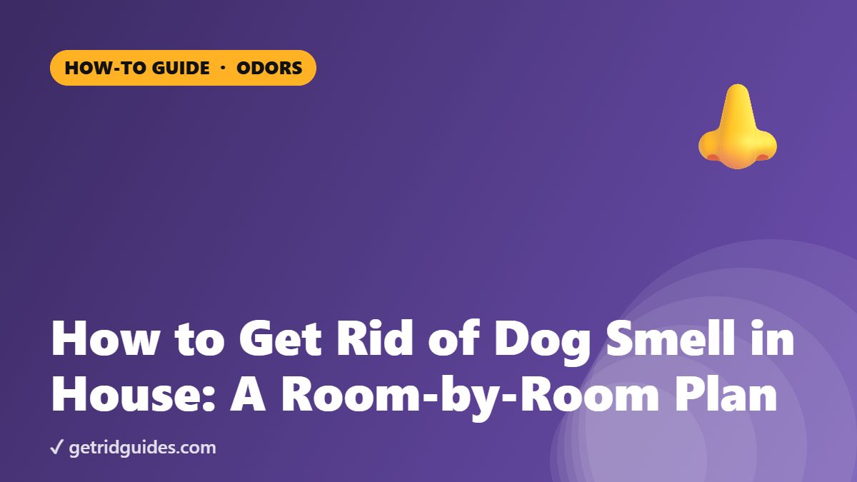 How to Get Rid of Dog Smell in House: A Room-by-Room Plan