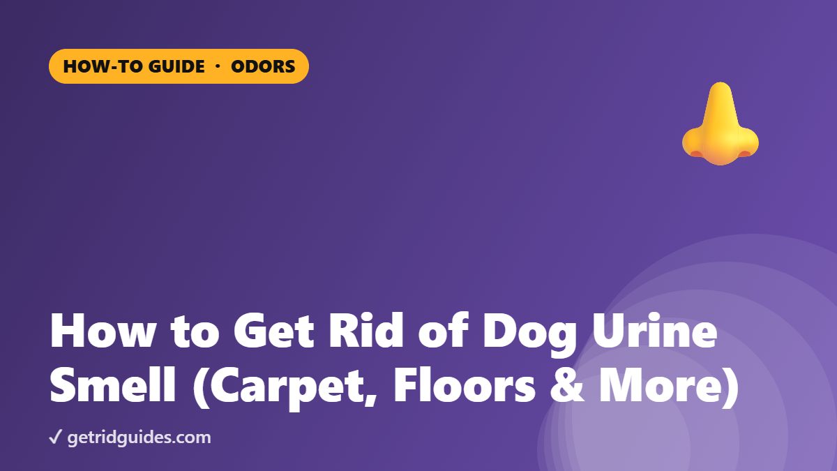 How to Get Rid of Dog Urine Smell (Carpet, Floors & More)