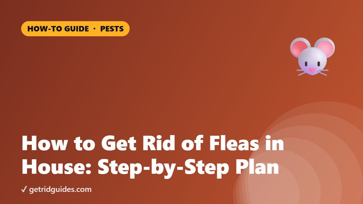 How to Get Rid of Fleas in House: Step-by-Step Plan