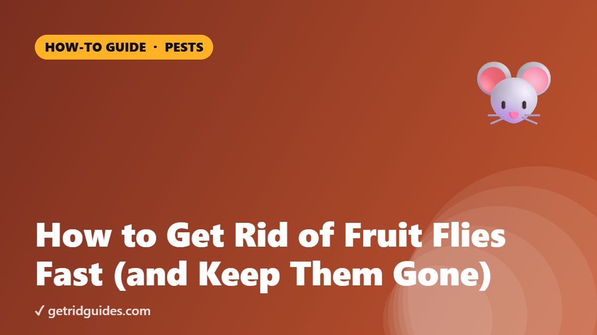 How to Get Rid of Fruit Flies Fast (and Keep Them Gone)