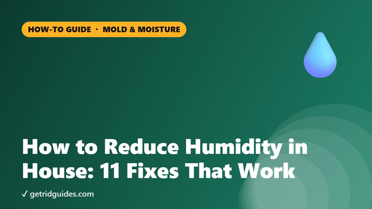 How to Reduce Humidity in House: 11 Fixes That Work