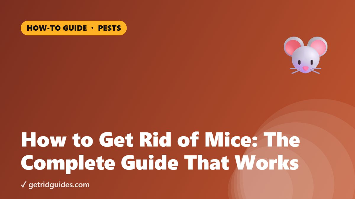 How to Get Rid of Mice: The Complete Guide That Works