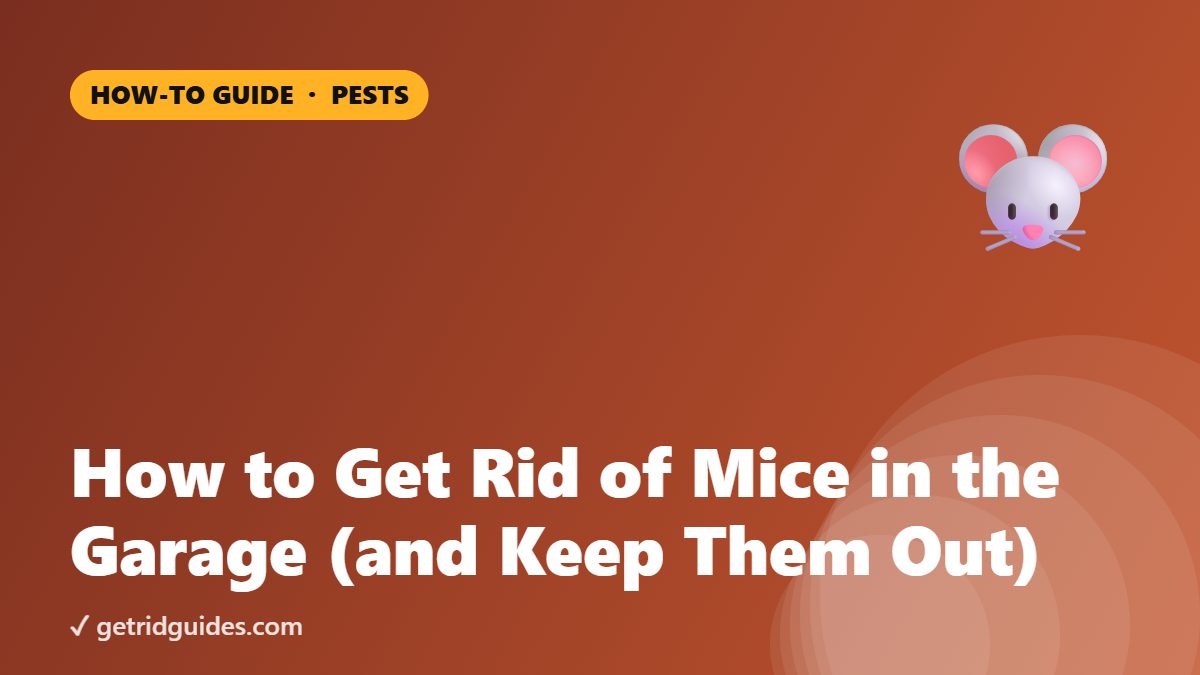 How to Get Rid of Mice in the Garage (and Keep Them Out)