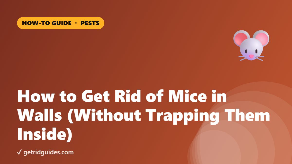 How to Get Rid of Mice in Walls (Without Trapping Them Inside)