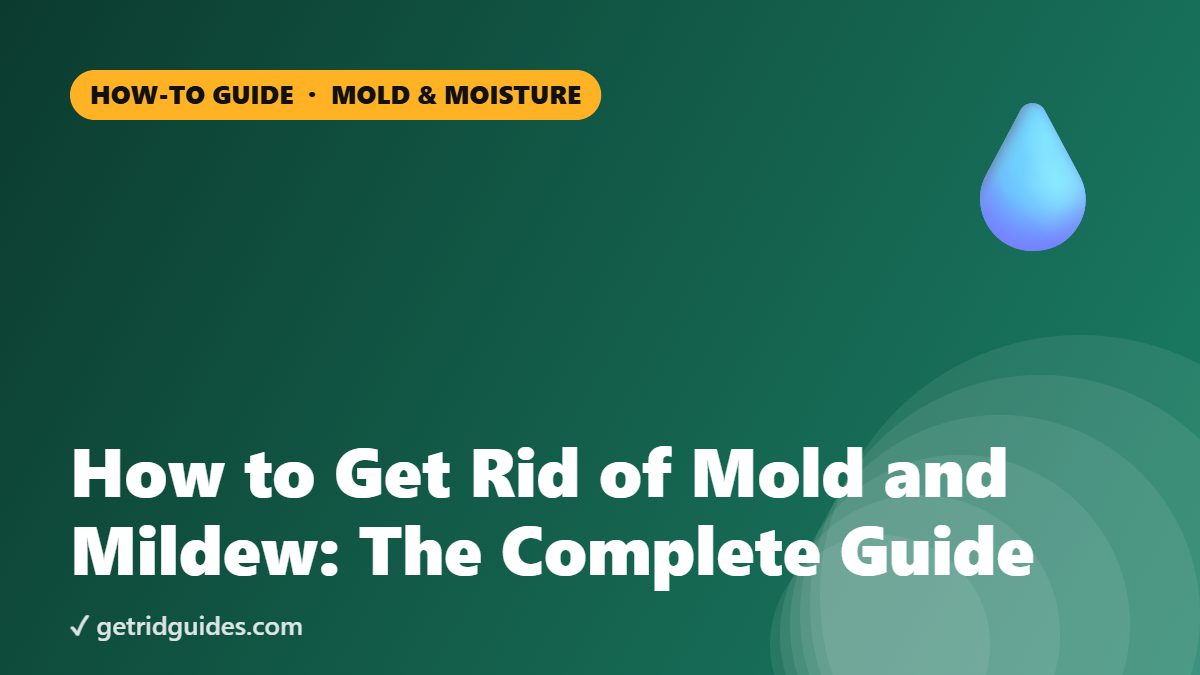 How to Get Rid of Mold and Mildew: The Complete Guide