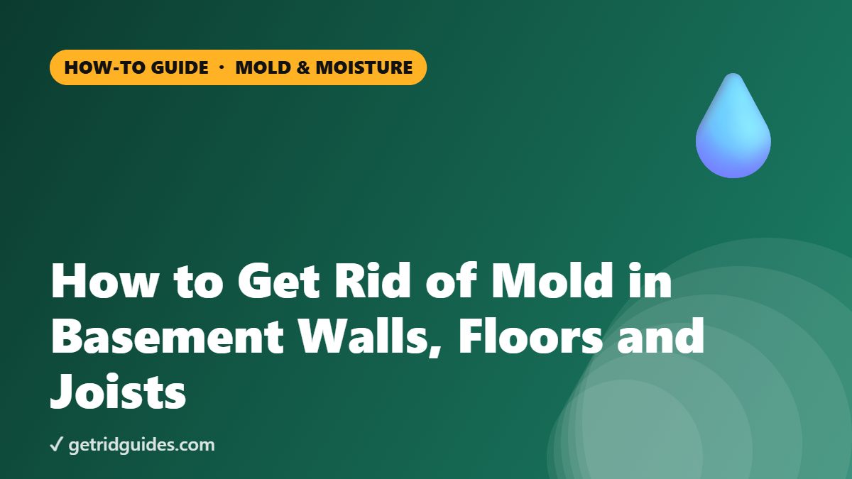 How to Get Rid of Mold in Basement Walls, Floors and Joists