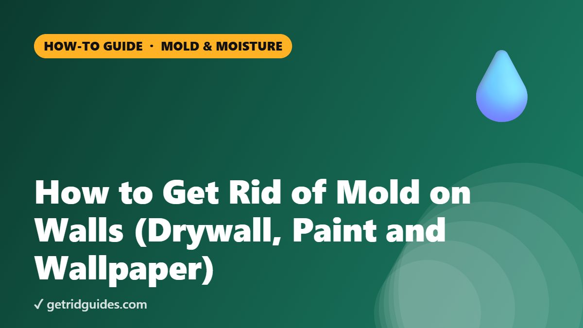 How to Get Rid of Mold on Walls (Drywall, Paint and Wallpaper)