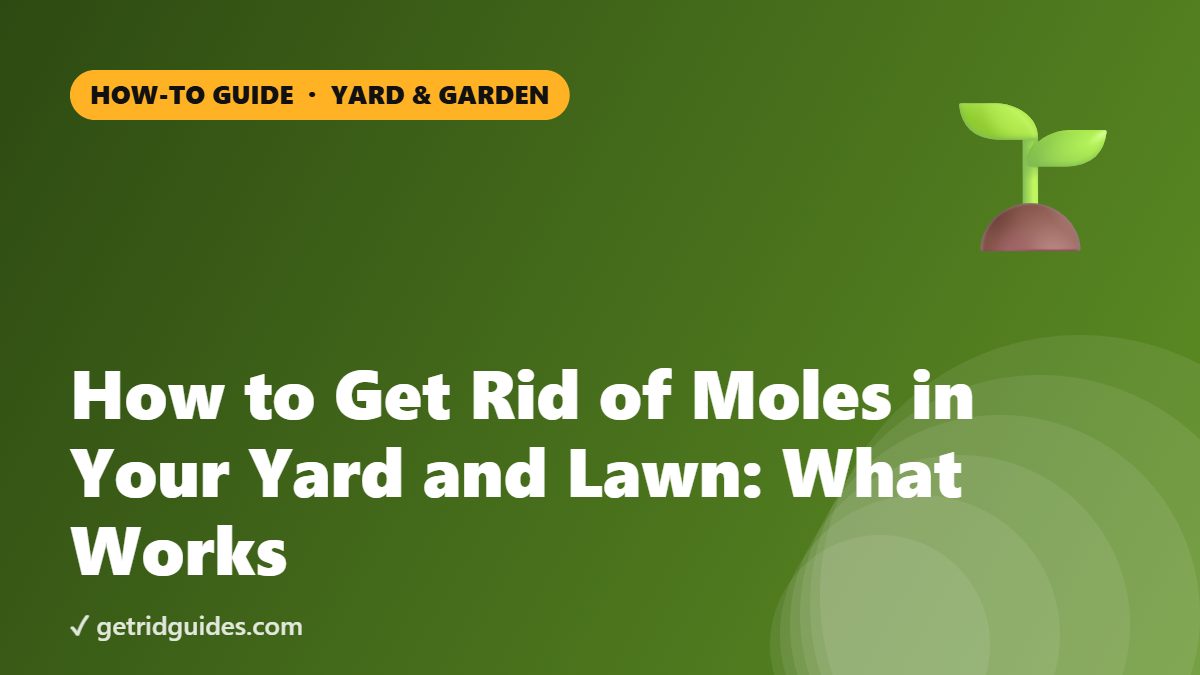 How to Get Rid of Moles in Your Yard and Lawn: What Works