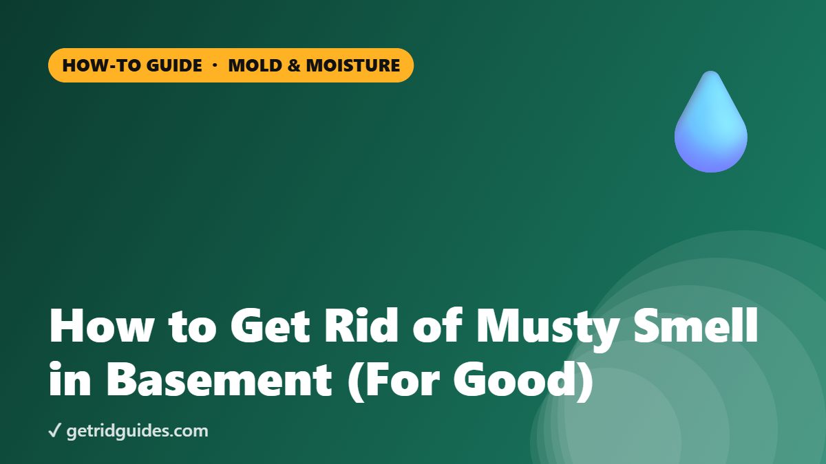How to Get Rid of Musty Smell in Basement (For Good)