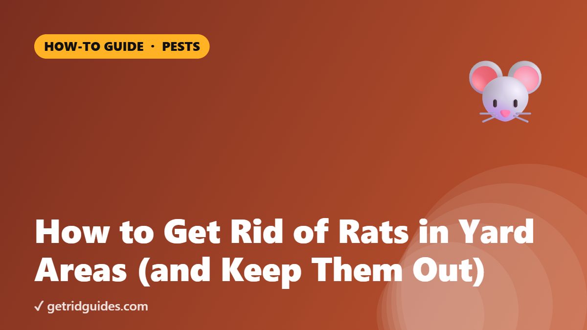 How to Get Rid of Rats in Yard Areas (and Keep Them Out)