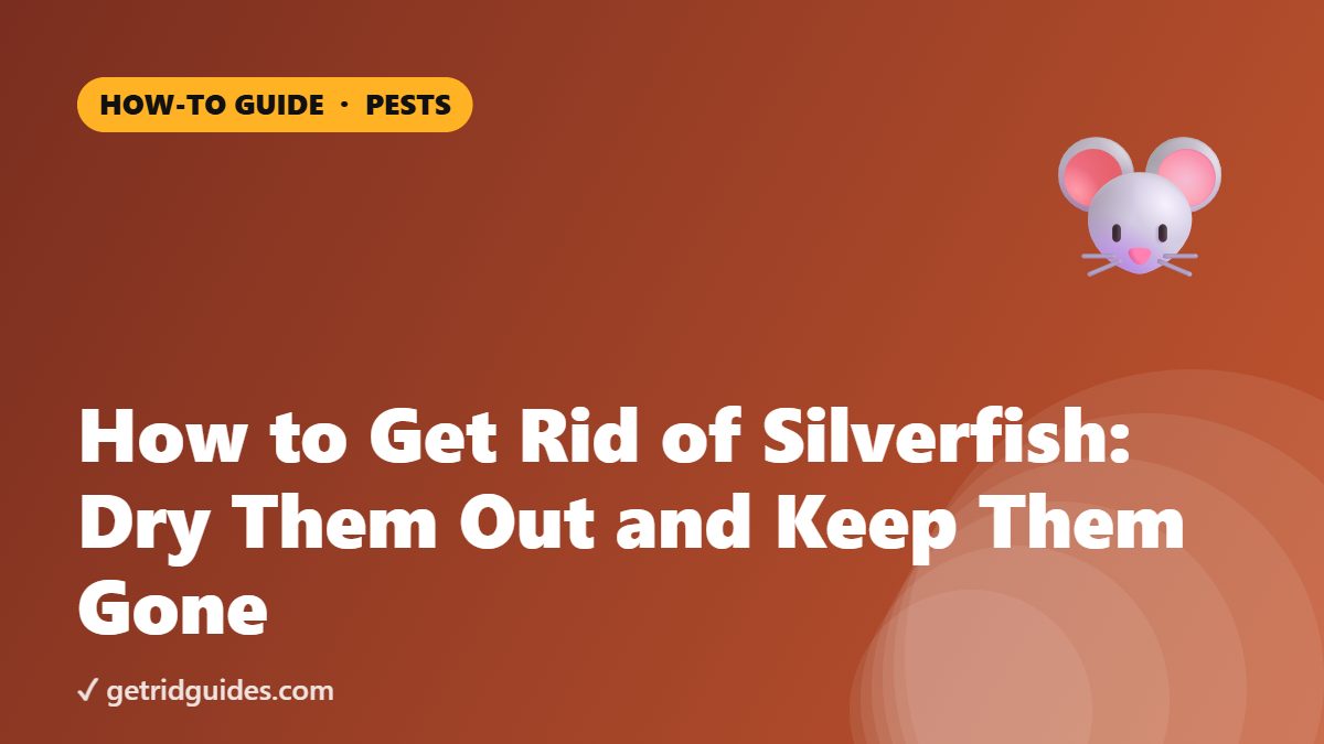 How to Get Rid of Silverfish: Dry Them Out and Keep Them Gone