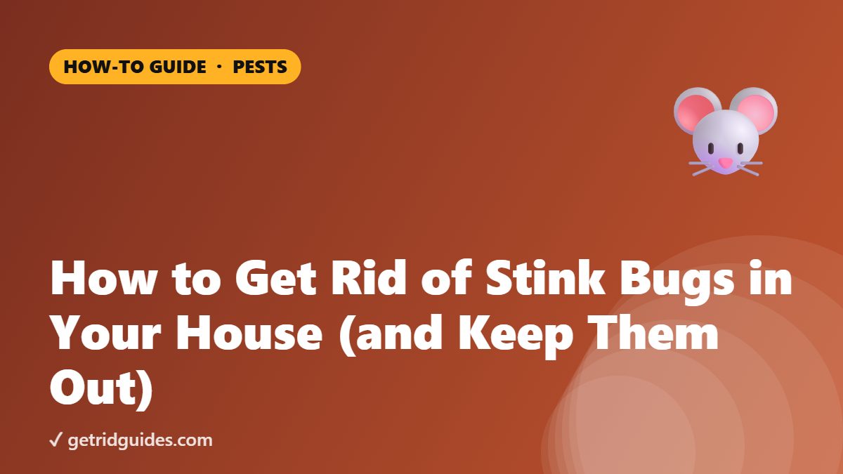 How to Get Rid of Stink Bugs in Your House (and Keep Them Out)
