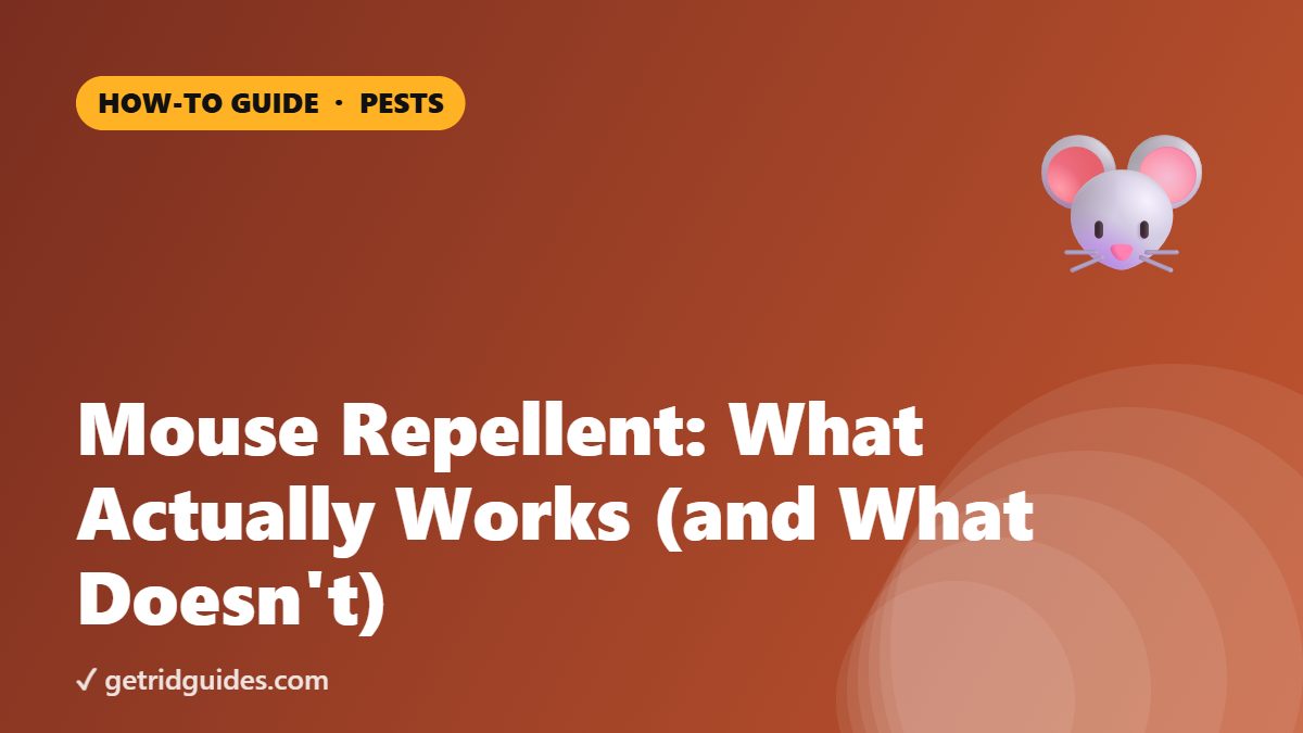 Mouse Repellent: What Actually Works (and What Doesn't)